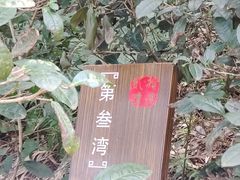 -东山风景区(洞庭东山)