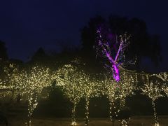 -疏芬山金矿
