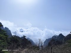 -黄山风景区