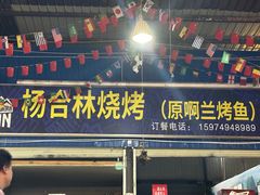 -杨合林啊兰烤鱼