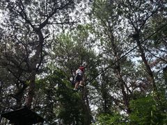 -芦仙山景区-飞越丛林探险乐园