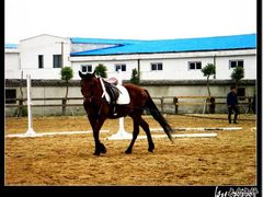 -松声马术俱乐部