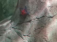 -沈阳海洋探索中心