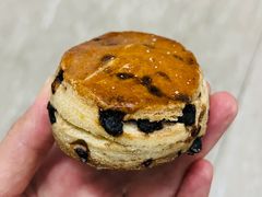 巧克力司康-熊叔熊婶面包房(团结湖店)