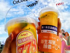 搞桶水果778-CoCo都可(台东和兴店)