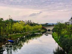 -眉山湿地公园(东坡区)