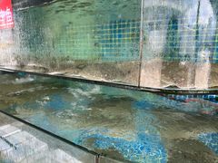 -新农都水产市场