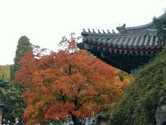-香山公园