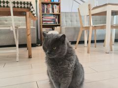 -Rabbit Cafe私房西餐甜点咖啡(栖霞路店)