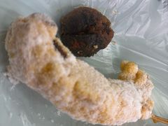 -小吴水煮(羊子巷店)