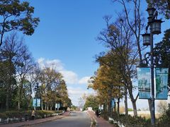 -呈贡滇池生态湿地公园