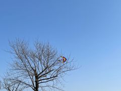 -羊山湖公园