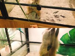 -藦茜花园宠物主题亲子互动体验馆(国顺东路店)