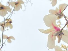 -丰台花园