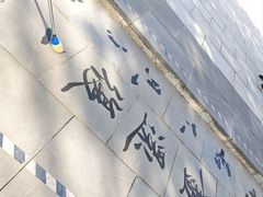 -青城公园