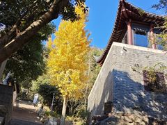 -狼山风景名胜区