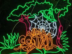 -南宫五洲植物乐园