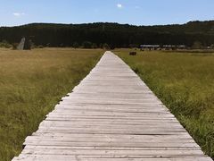 -塞罕坝国家级自然保护区