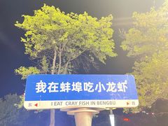 -阿财老铺·老蚌埠龙虾城(华夏总店)