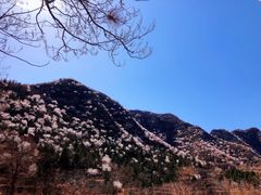 -妙峰山风景名胜区