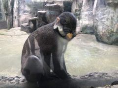-南昌动物园