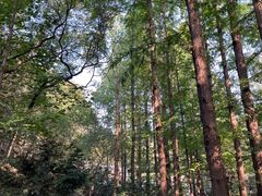 -国家植物园南园