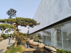 -罗红摄影艺术馆