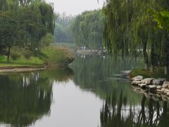 -大兴滨河森林公园