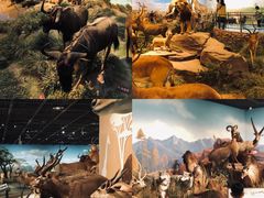 -陕西自然博物馆