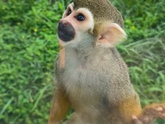 -石家庄市动物园