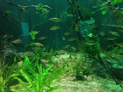 -南戴河国际娱乐中心