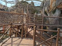 -杭州开元森泊度假乐园