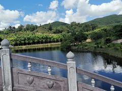 -大屏嶂森林公园