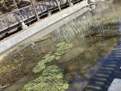 -白水寺森林公园
