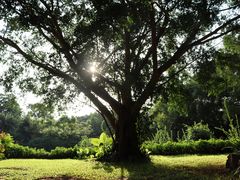 -海南热带野生动植物园