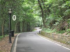 -潜山国家森林公园