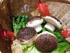 -云来居素食馆(东门店)