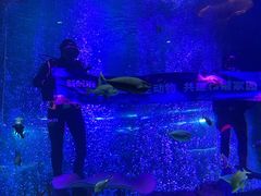 -沈阳海洋探索中心