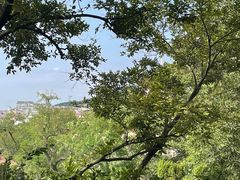 -青岛海滨风景区小鱼山