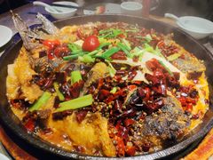 -老板恋上鱼(恒隆广场店)