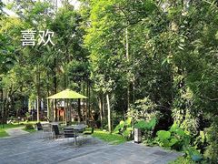 -七仙岭温泉国家森林公园
