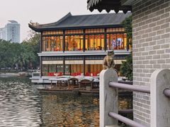 -荔湾湖公园