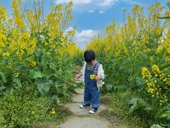 -中国天府农业博览园