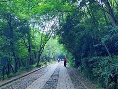 -紫金山山顶公园