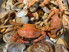 -老家黄墩小错鸡·活海鲜