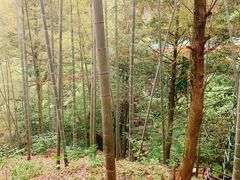 -藏龙百瀑风景区