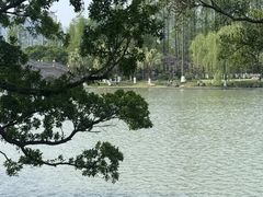 -江心屿景区