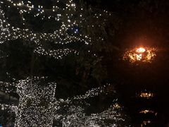 -云顶高原
