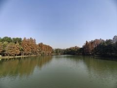 -东湖落雁景区
