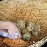 无烟火不生活